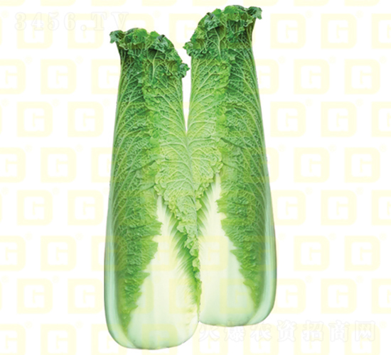 ��ѿ�ܲ�-�¸�����7��-��ײ�����-�¸���ҵ