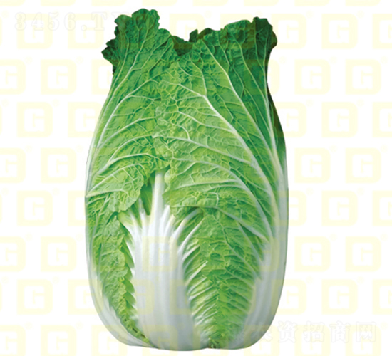 ������ײ�-�¸�7��-��ײ�����-�¸���ҵ