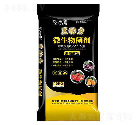 ��ֲ���ͺڶ���΢�������-��ŵ��-ŵ����