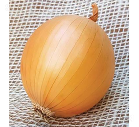 ������Ʒ��ON-014-�������-³��