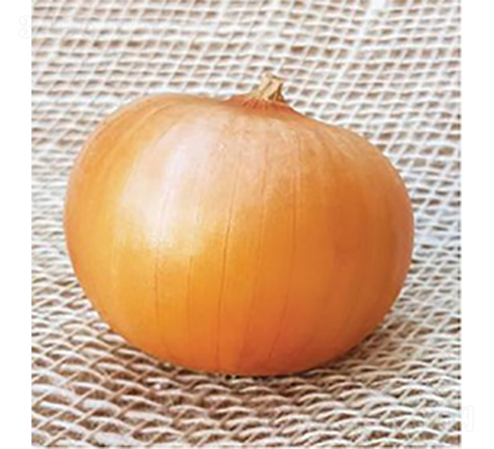 ������Ʒ��ON-017-�������-³��