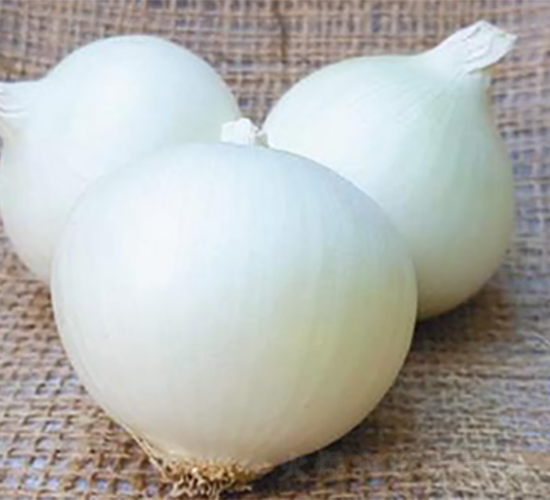 ������Ʒ��ON-020-�������-³��