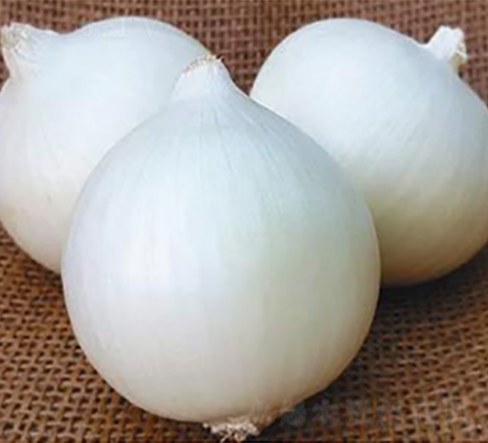 ������Ʒ��ON-026-�������-³��