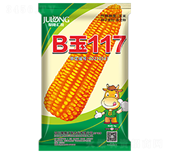 B��117-��������-��¡����