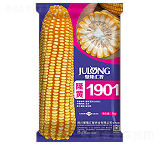 ¡��1901-��������-��¡����