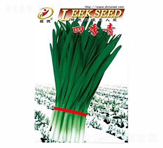 �ļ���²�F1-������ҵ