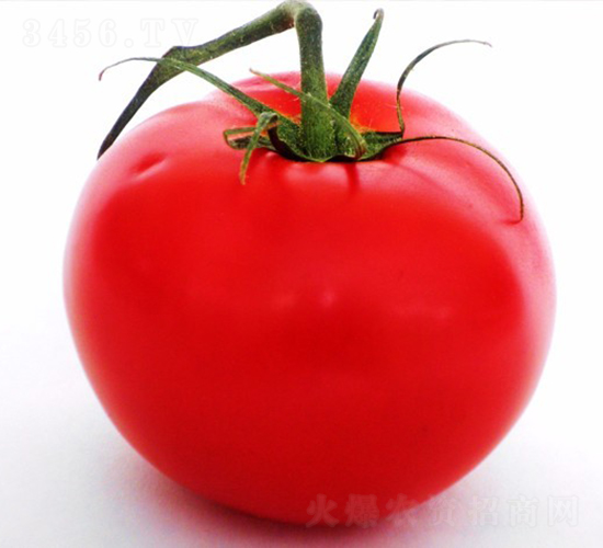 CNUS1607F1-����������������-��������