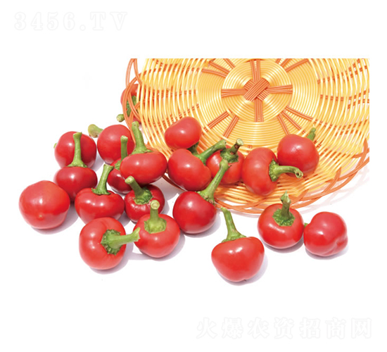 ���2��-���콷����-�췢��ʢ