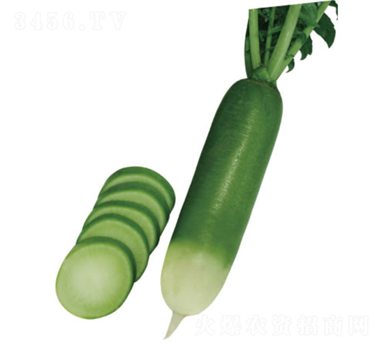 ����-�ܲ�����-�췢��ʢ