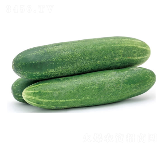 ����717-�ƹ�����-�췢��ʢ