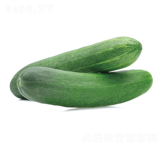 ����818-�ƹ�����-�췢��ʢ
