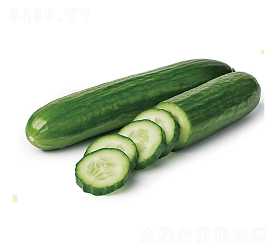 ����616-�ƹ�����-�췢��ʢ