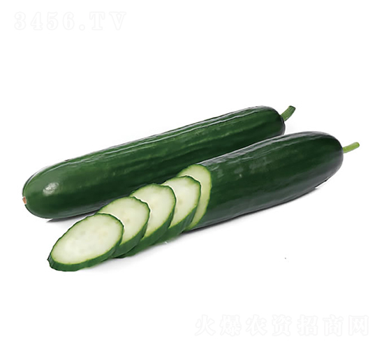 ����988-�ƹ�����-�췢��ʢ