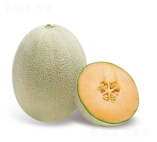 �콾-�������-�췢��ʢ