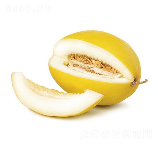 ����1��-�������-�췢��ʢ