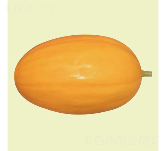 ����2��-�������-�췢��ʢ