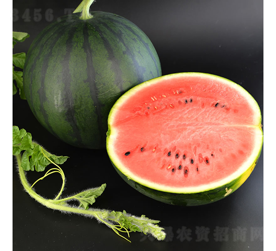 ī��1��-��������-�췢��ʢ