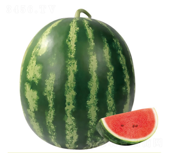 ����2��-��������-�췢��ʢ
