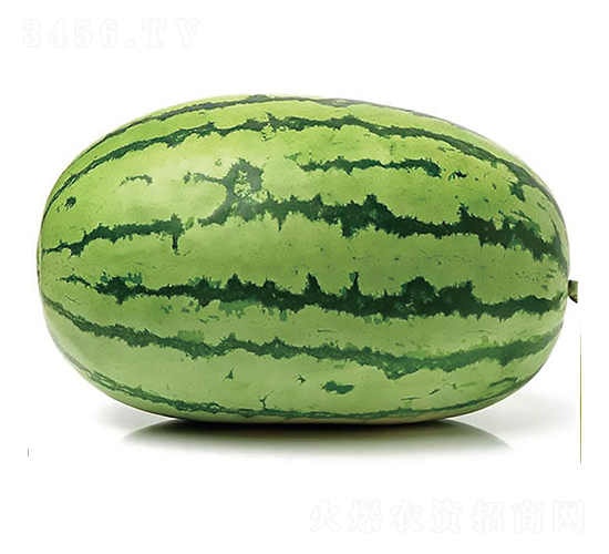 ����1��-��������-�췢��ʢ