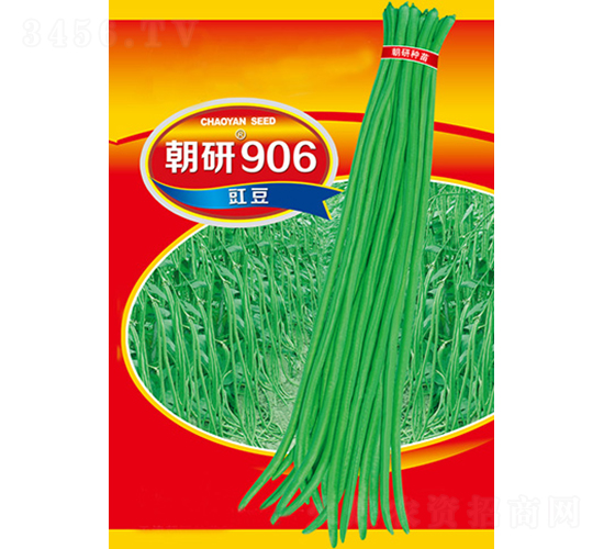 ����906-��������-��������
