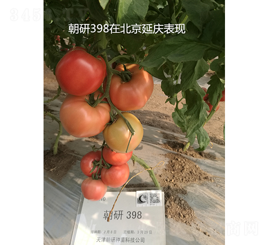 ����398-��������-��������