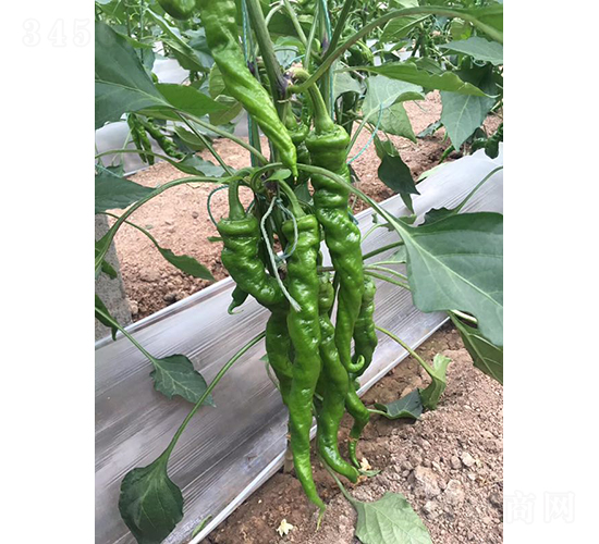 ����179-��������-��������