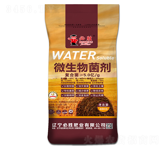 40kg΢�������-��ʤ