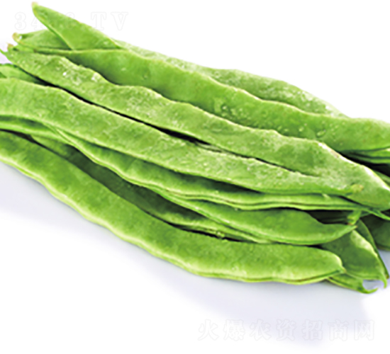 �����-ܿ������-³��