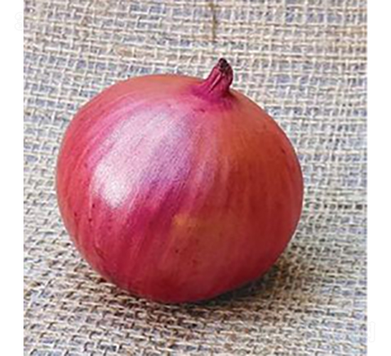 ������Ʒ��ON-021-�������-³��
