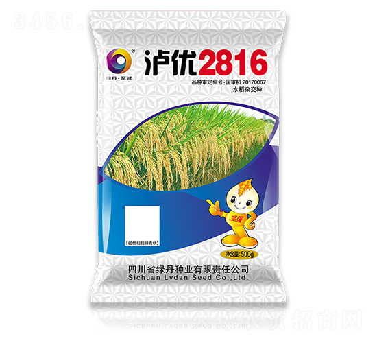 ����2816-��ɫ�̵�