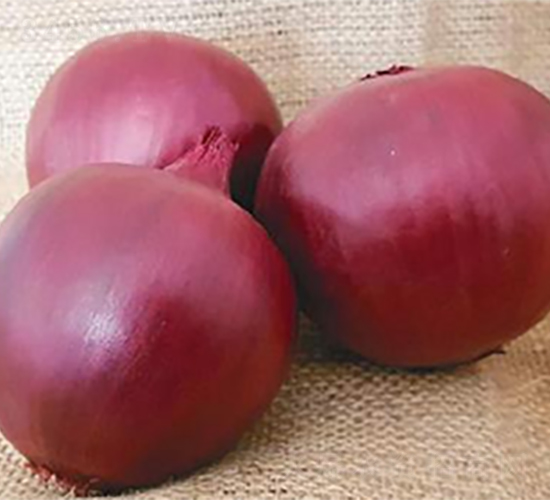 ������Ʒ��ON-030-�������-³��