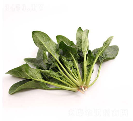 �ǻ�126-��������-��ũũҵ
