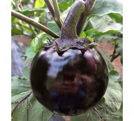 ��ũ��Բ��2��-��������-��ũũҵ