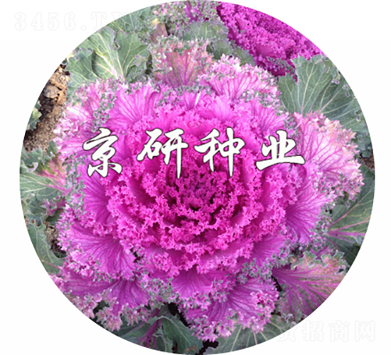 ���ں�6��-��������-������ҵ