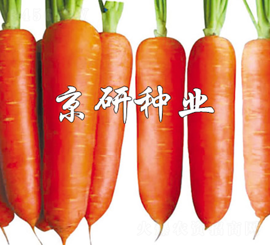 ����208-���ܲ�����-������ҵ