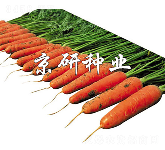 ����218-���ܲ�����-������ҵ