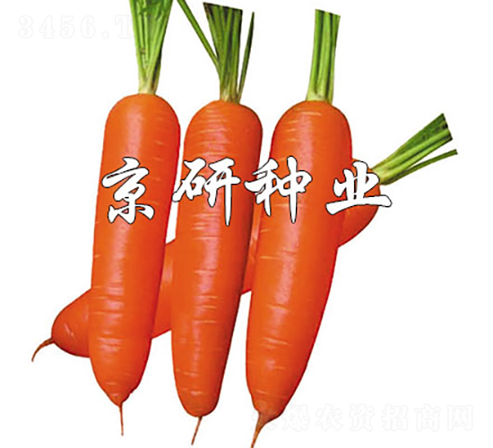 ����228-���ܲ�����-������ҵ