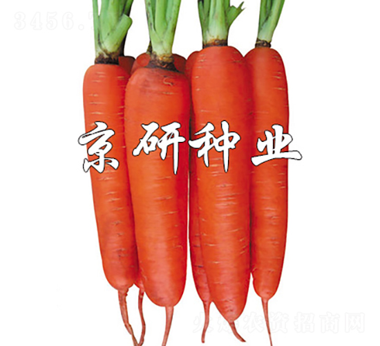 ����238-���ܲ�����-������ҵ