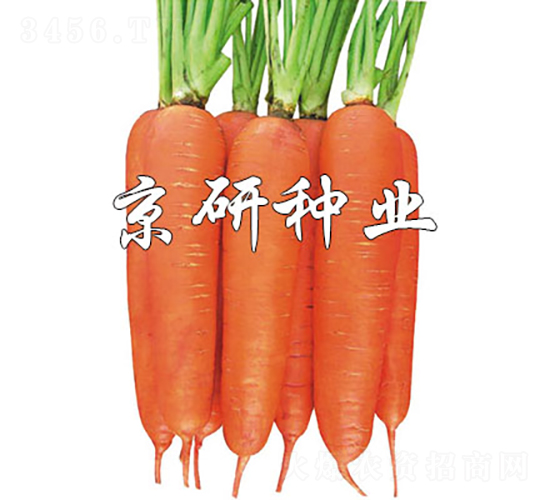 ����258-���ܲ�����-������ҵ