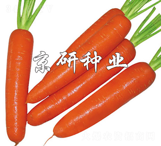 ����268-���ܲ�����-������ҵ