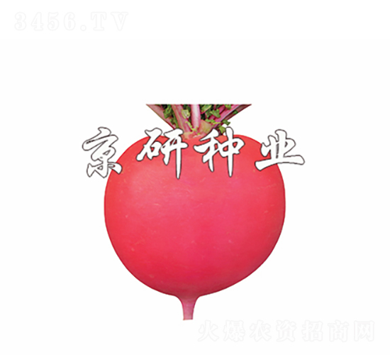����4��-�ܲ�����-������ҵ