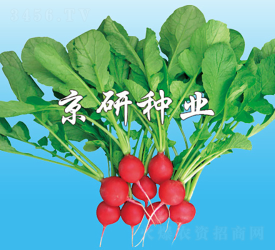 ���к�ӣ��-�ܲ�����-������ҵ