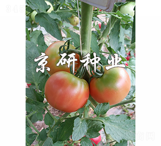 ����302-��������-������ҵ
