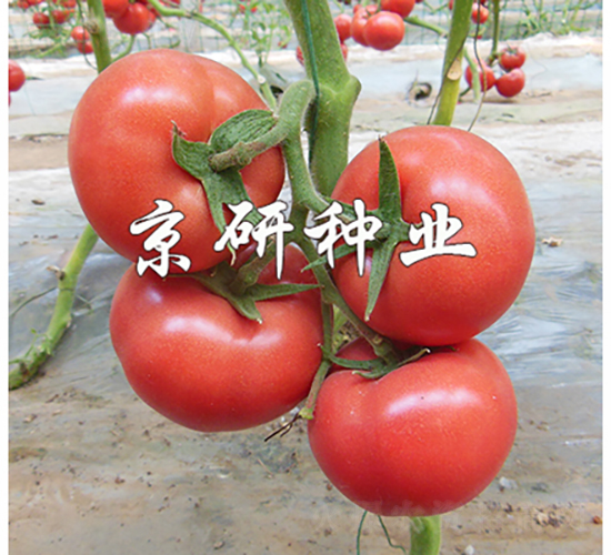 ����402-��������-������ҵ