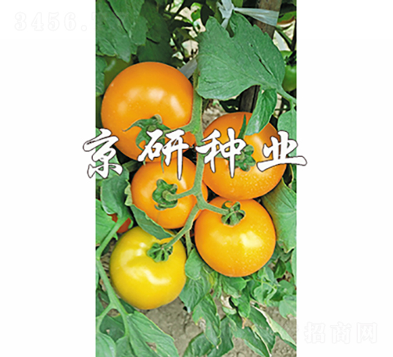 ����701-��������-������ҵ