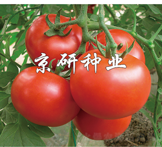 �Ѻ�7��-��������-������ҵ