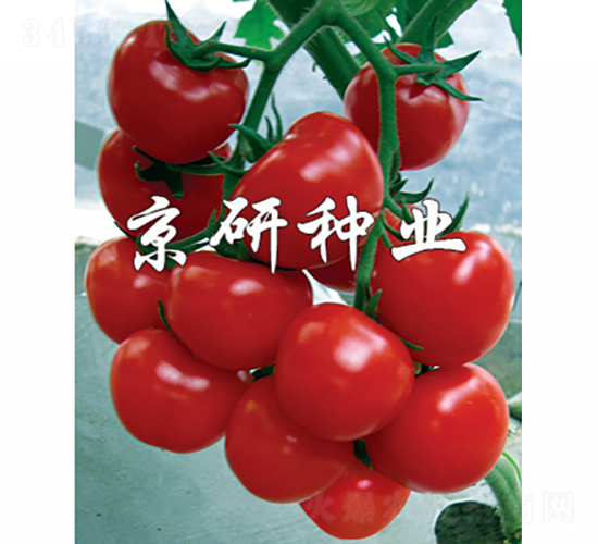 �챴��-��������-������ҵ