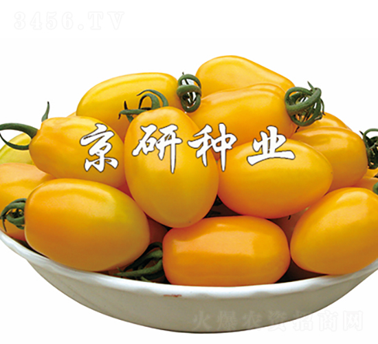��ݺ1��-��������-������ҵ