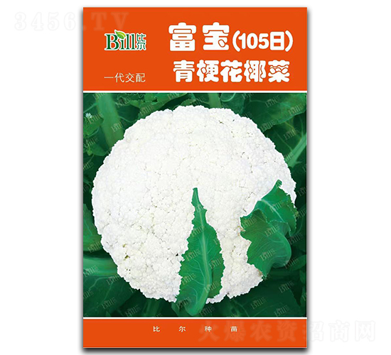 ����105��-��Ҭ������-�ȶ�