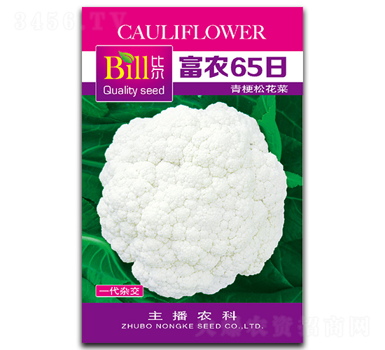 ��ũ65��-��Ҭ������-�ȶ�